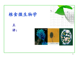 粮食微生物的形态.ppt