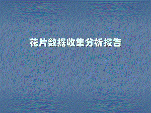 花片数据收集分析报告.ppt