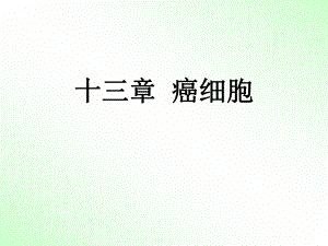 细胞生物学——癌细胞.ppt
