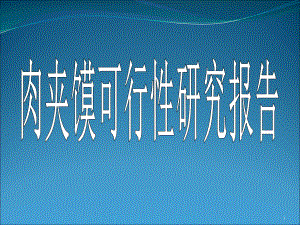 肉夹馍可行性研究报告.ppt