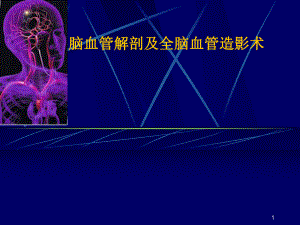 脑血管解剖及造影术PPT医学课件.ppt