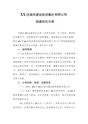 XX区城市建设投资集团有限公司组建优化方案.docx
