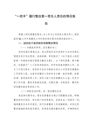 “一把手”履行整改第一责任人责任的情况报告.docx