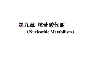 生物化学核苷酸代谢.ppt