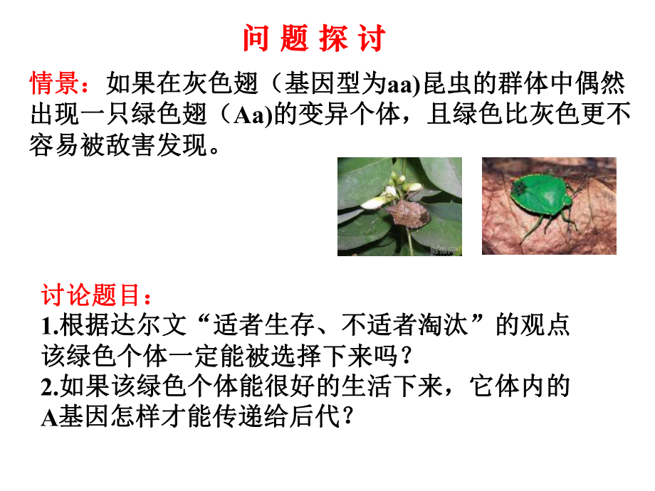 现代生物进化理论的主要内容.ppt_第2页
