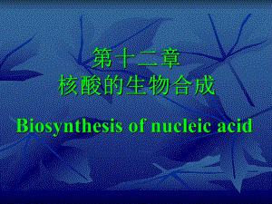 生物化学核酸生物合成.ppt