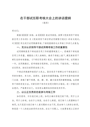 在试任职干部考核大会上的讲话提纲.docx