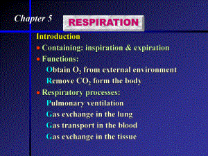 生理学之呼吸系统.ppt