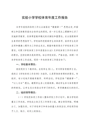 实验小学学校体育年度工作报告.docx
