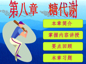 生物化学课件——糖代谢.ppt