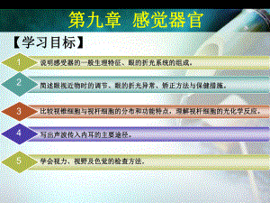 生理学课件第九章.ppt
