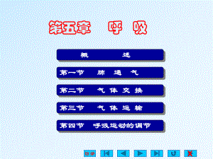 生理学课件呼吸ppt.ppt