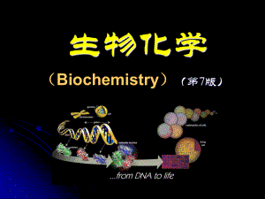 生物化学生物化学的发展史PPT资料共43页.ppt