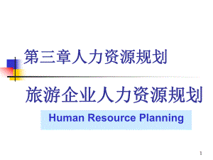 第二章旅游企业人力资源诊断与人力资源规划.ppt