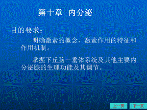 生理学内分泌.ppt