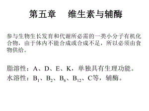 生物化学维生素.ppt