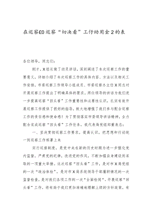 在巡察“回头看”工作动员会上的表态发言.docx