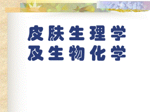 皮肤生理学ppt.ppt