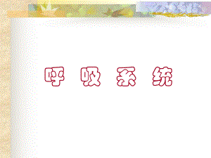 生理学考研呼吸系统.ppt