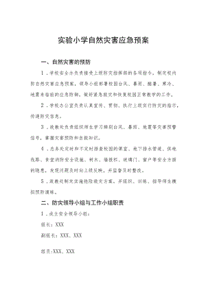 实验小学自然灾害应急预案.docx