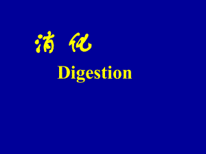 生理学消化.ppt