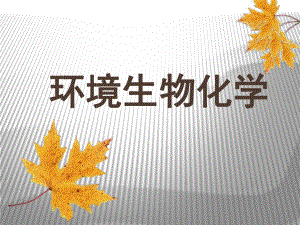 环境生物化学..ppt