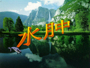 病理生理学水肿.ppt