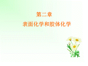 第二章(表面化学和胶体化学).ppt