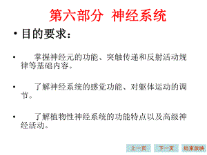 生理学课件神经系统.ppt