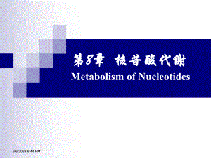 生物化学核苷酸代谢.ppt