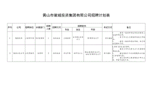 黄山市徽城投资集团有限公司招聘计划表.docx