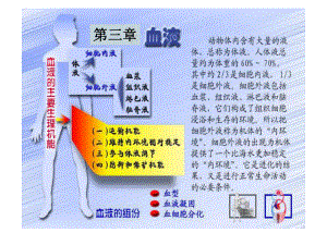 生理学血液.ppt