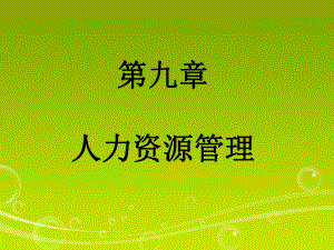 第九章人力资源管理.ppt