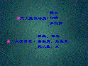 糖类有机化学.ppt