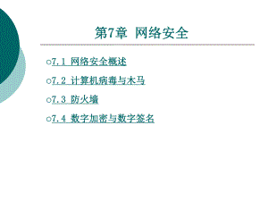 计算机网络技术第七章.ppt