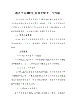 违法违规用地行为查处整改工作方案.docx