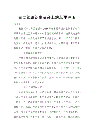 在支部组织生活会上的点评讲话.docx