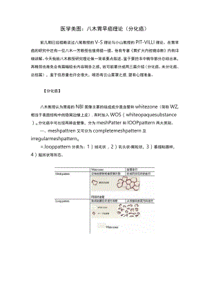 医学美图：八木胃早癌理论（分化癌）.docx