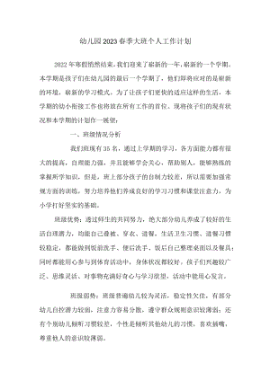 幼儿园2023春季大班个人工作计划.docx
