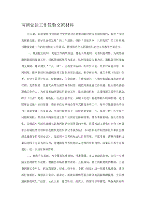 两新党建工作经验交流材料.docx