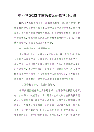2023年老师寒假网络研修培训专题学习心得体会感想【5篇】.docx