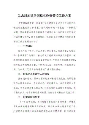 乱占耕地建房网格化巡查管控工作方案.docx
