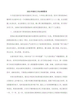 2023年组织工作会部署要求.docx