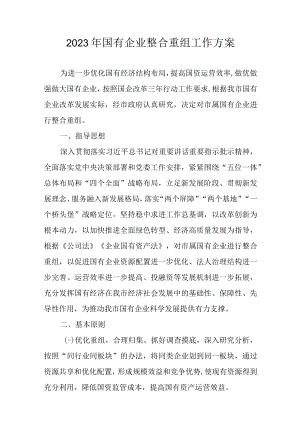 2023年国有企业整合重组工作方案.docx