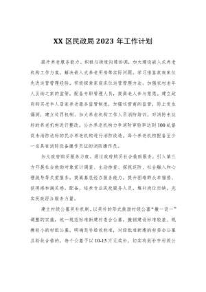 XX区民政局2023年工作计划.docx