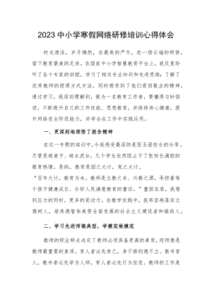 2023年某某中学教师寒假网络研修培训专题学习心得体会范文（共3篇）.docx