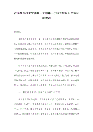 在参加局机关党委第一支部第一小组专题组织生活会的讲话.docx