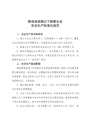静海县规模以下制管企业安全生产标准化规范.docx