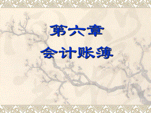 基础会计会计账簿.ppt