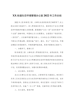 XX街道生态环境管理办公室2022年工作总结.docx